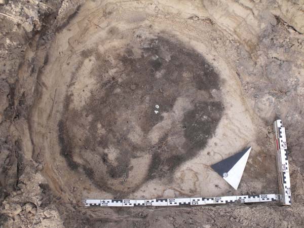 Planum 2, Foto Befund 49