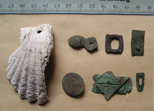 Rieben, Dorfkirche, Butmetallfunde, Jacobsmuschel